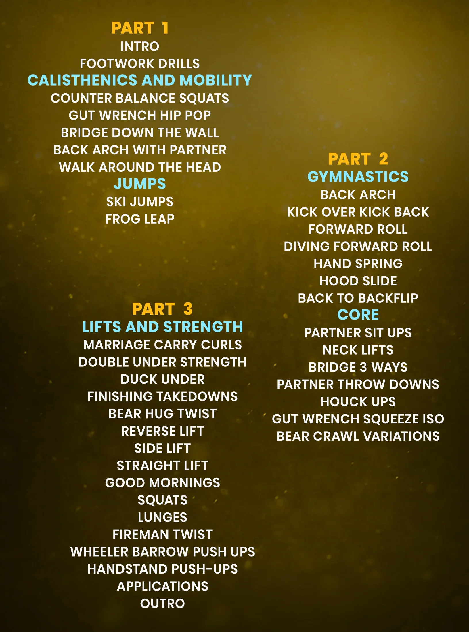 Partner Strength and Conditioning For Wrestling by Pat Smith - Image 2