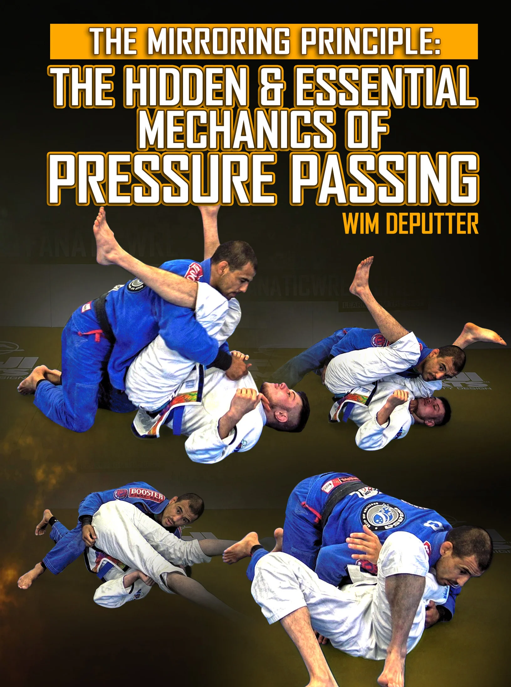 The Mirroring Principle: The Hidden & Essential Mechanics of Pressure Passing by Wim Deputter