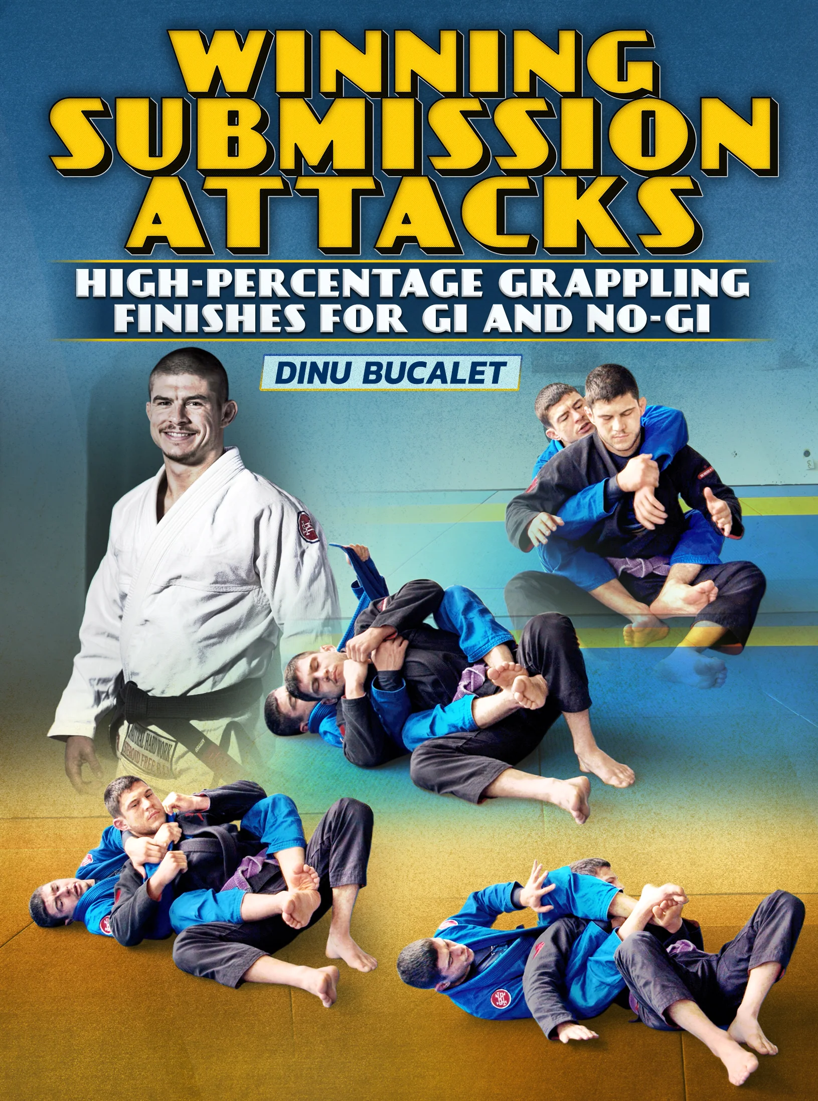 Winning Submission Attacks by Dinu Bucalet